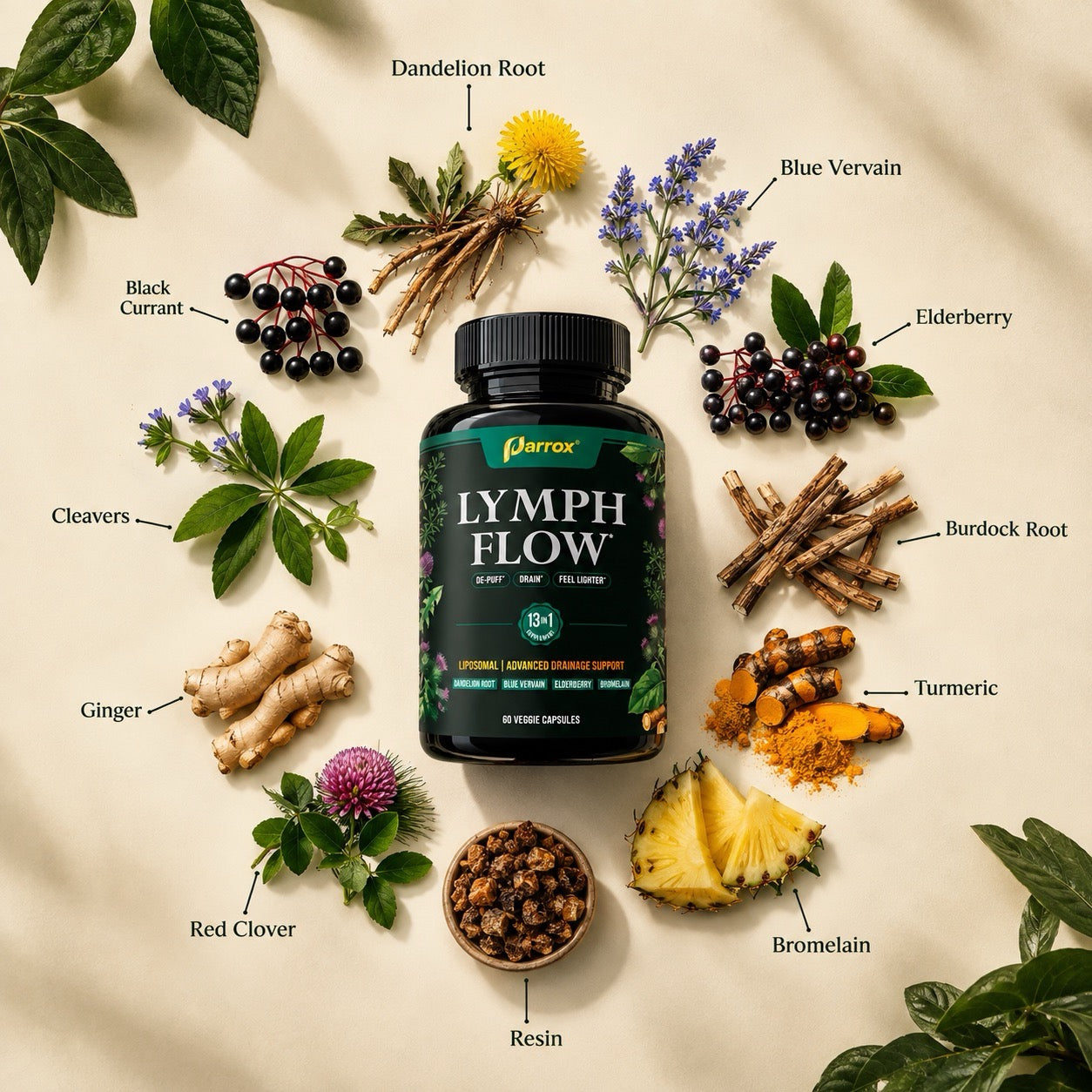Liposomal Lymphatic Drainage Supplement with Cleavers, Dandelion Root, Red Clover, Burdock Root, Blue Vervain, Elderberry, Turmeric, Mullein, Black Seed, Chlorophyll & BioPerine, 60 Capsules