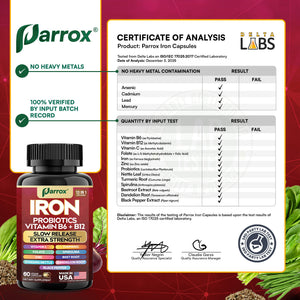 Gentle Iron Complex - Slow-Release with Probiotics & Plant Power